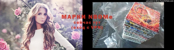 мдпв Ладушкин