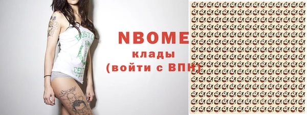 мдпв Ладушкин