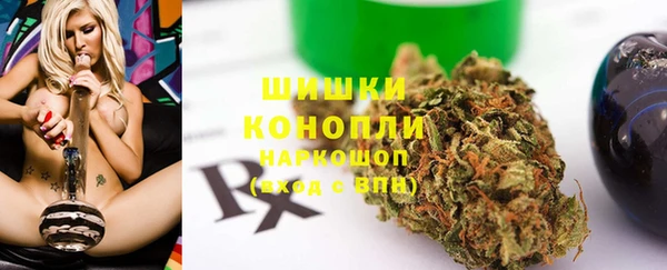 мдпв Ладушкин
