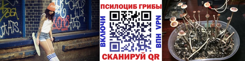 Галлюциногенные грибы прущие грибы  ссылка на мегу вход  Чехов 