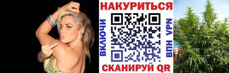 Бошки Шишки семена Чехов